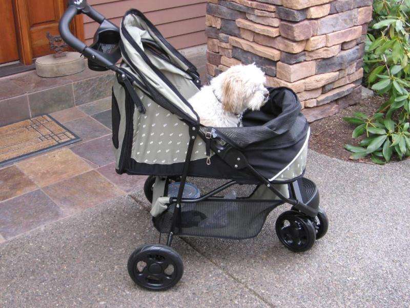 I 7 business più fuori dal comune