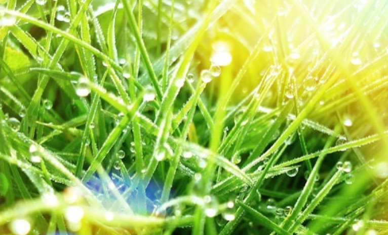 5 regole per la tua internet startup