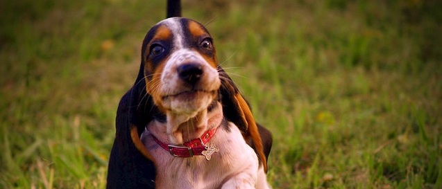 Per la saggezza, per i soldi e per sorridere: 15 citazioni