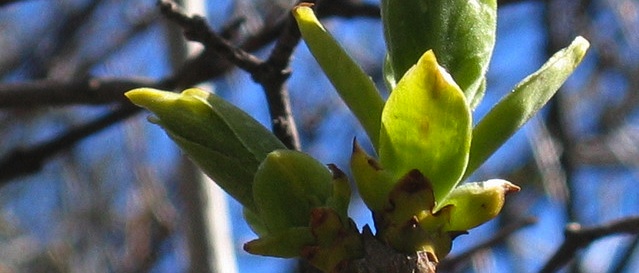 Che cos’è e come funziona un incubatore per start-up?