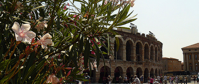 Creativamente Impresando – Verona Innovazione